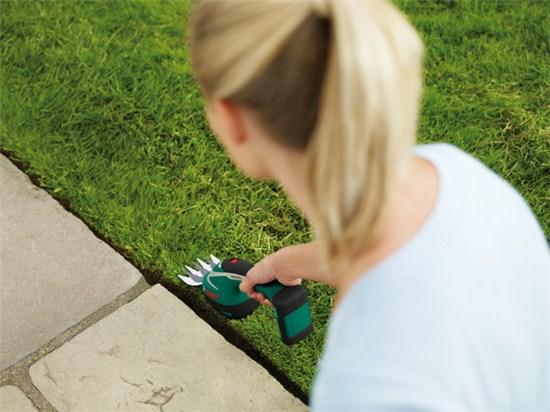 Image du produit Bosch Home & Garden ASB 10.8 LI Set (Taille-haies sans fil)
