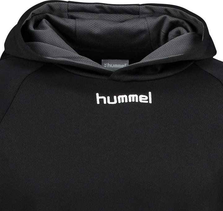 Image du produit hummel Authentique Charge Poly Hoodie (M)