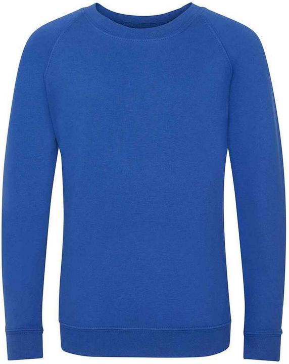 Image du produit Awdis - Sweat ACADEMY - Enfant (146, 152)