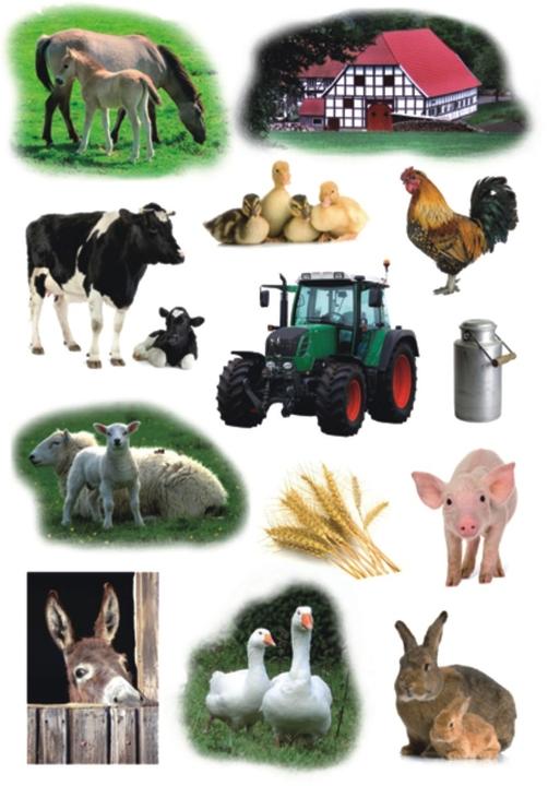 Image du produit Herma Autocollants ferme