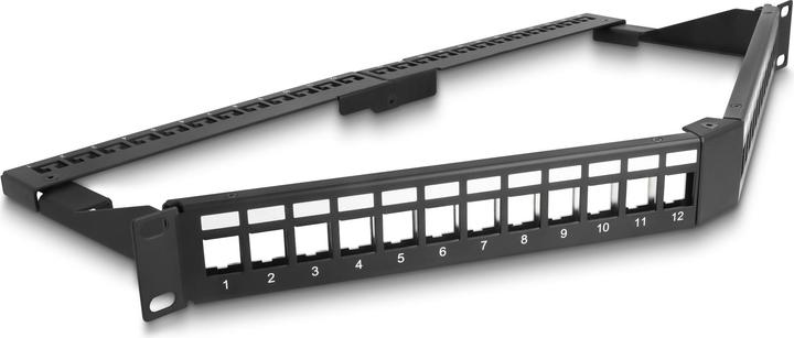 Image du produit Delock 48,30cm (19") Panneau de brassage Keystone 24 ports avec rail de décharge 1U en angle noir
