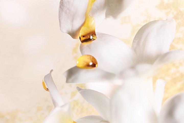 Produktbild Dior J'Adore L'absolu (Eau de Parfum, 75 ml)