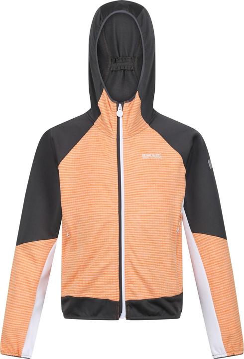 Image du produit Regatta - Veste softshell PRENTON - Enfant (116)