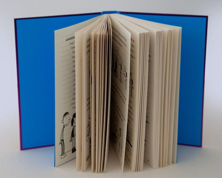 Produktbild Gregs Tagebuch 13 - Eiskalt erwischt (Deutsch, Jeff Kinney, 2018)