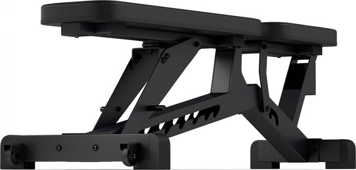 Actual product image Zipro Pump iron