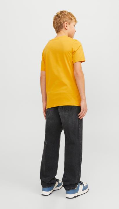 Actual product image Jack & Jones Jjichris Jjoriginal Sq 602 Noos Jnr (140)