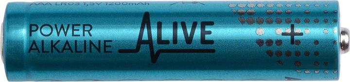 Actual product image Alkaline battery (10 pcs., AAA, 1200 mAh)
