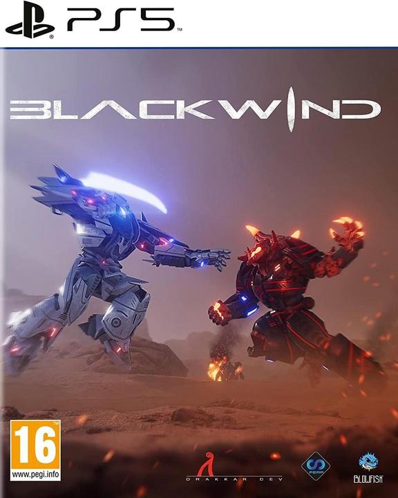 Image du produit Perp Vent noir PS5 (PS5, DE)