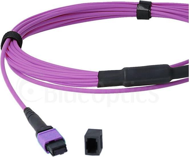 BlueOptics Fibre optic MTP/8xLC duplex breakout cable OM4 1 metre (1 m)