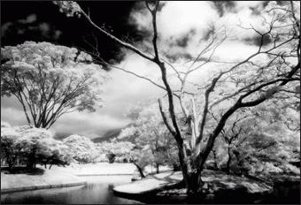 Actual product image Cokin Filter P007 Infrared 89B (82 mm, Infrared-passing filter, 84 mm)