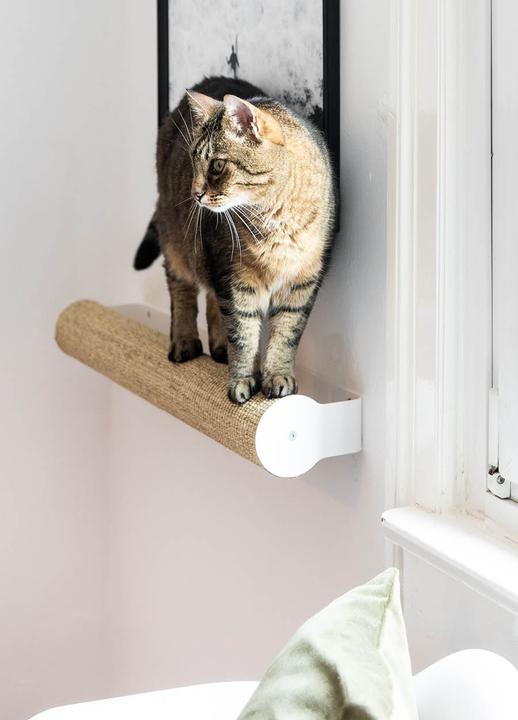 Image du produit LucyBalu CATWALK Kratzstamm (9 cm, Blanc, Sable)