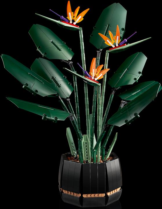 Produktbild LEGO Bird of Paradise (10289, LEGO Seltene Sets)
