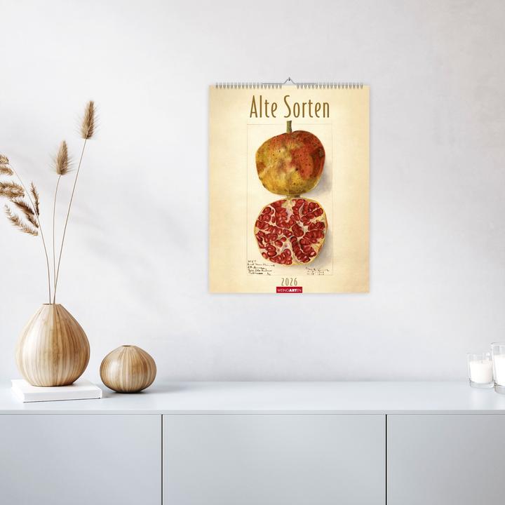Produktbild Alte Sorten Kalender 2026 (34 x 44 cm, Harter Einband, Deutsch)