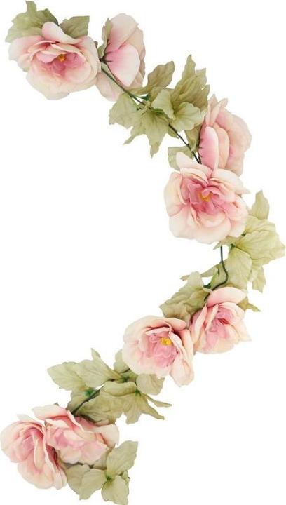 Image du produit Chaks Guirlande de roses