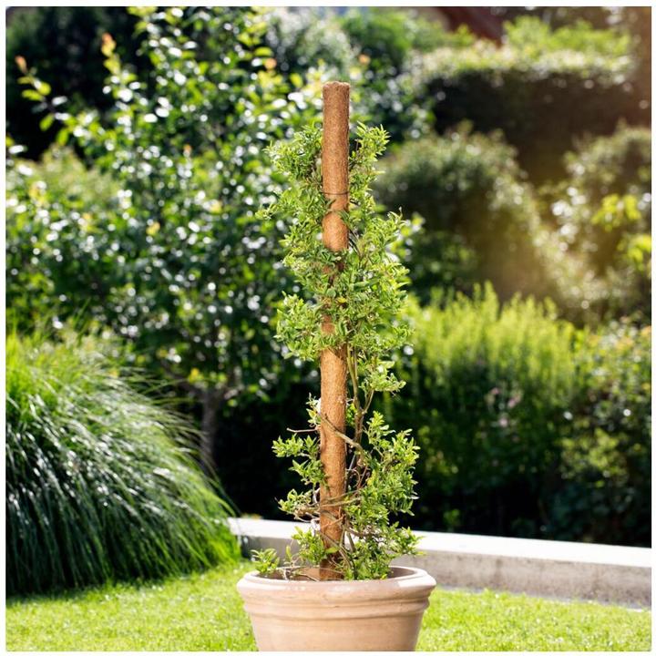 Actual product image Windhager Plant stick coconut (110 cm, 4.50 cm)