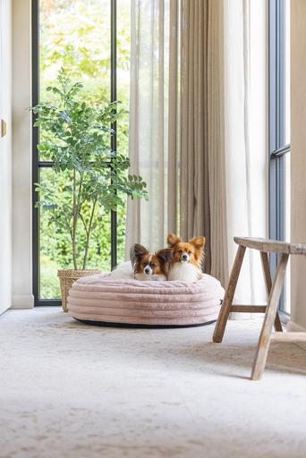 Productafbeelding Designed by Lotte Reza ligkussen (Hond)