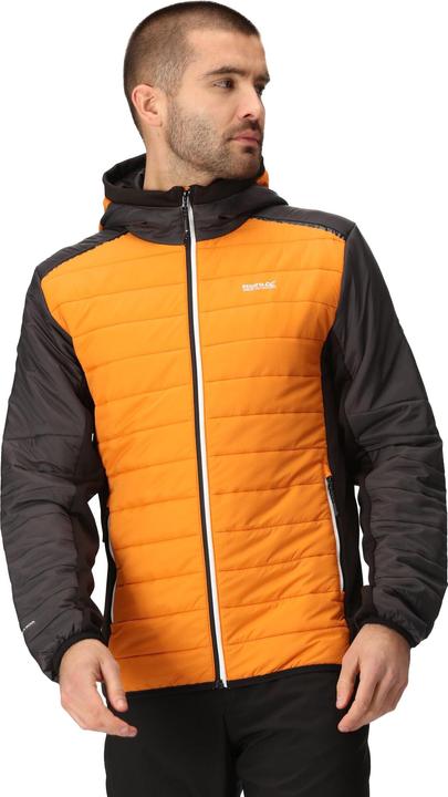Image du produit Regatta - Veste matelassée TRUTTON - Homme (M)