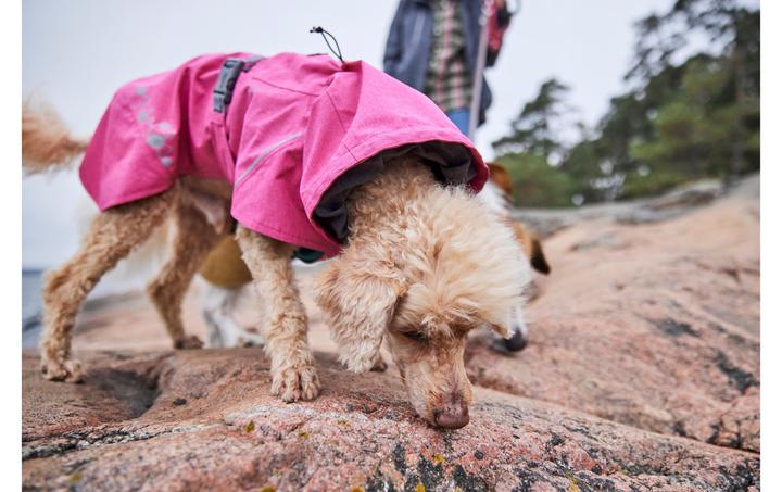 Actual product image Hurtta Monsoon V2 Eco Pink mackintosh, 65 cm (65, Dog raincoat)
