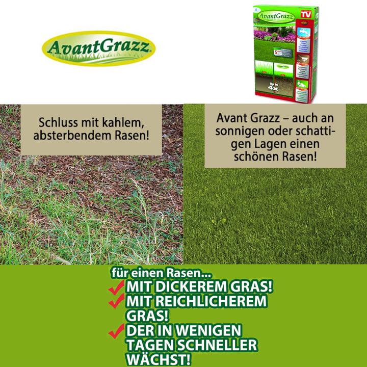 Actual product image Best direct Avant Grazz