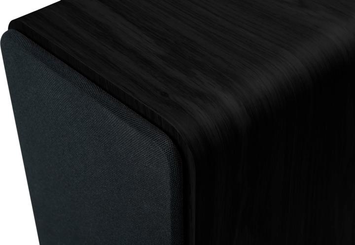 Actual product image Thomson WS600DUO (1 pair, 100 W)