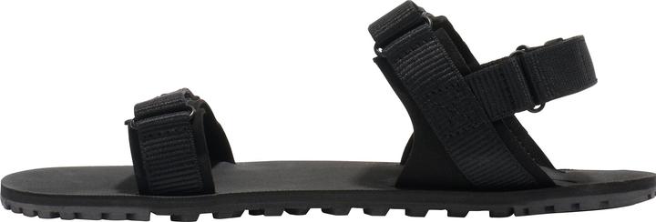 Image du produit Xero Shoes D-Trail (40.5)