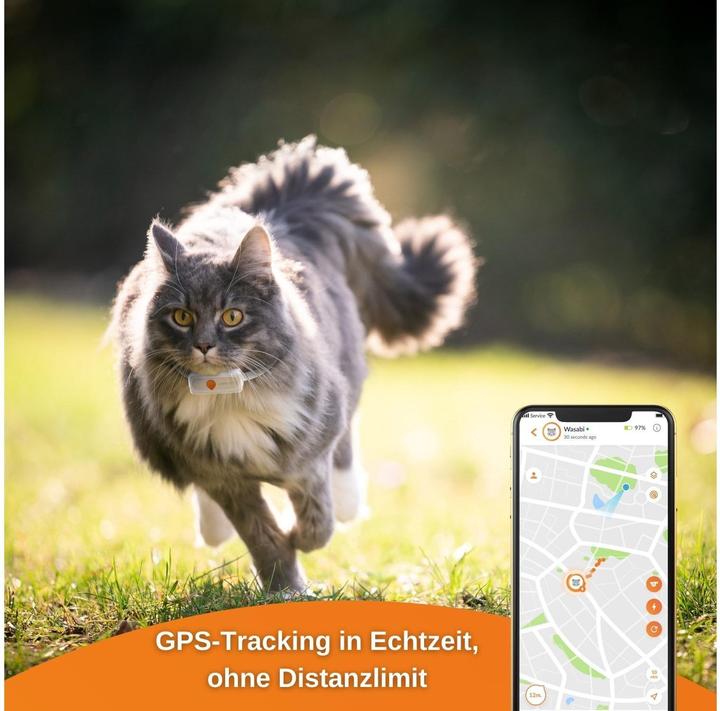 Actual product image Weenect GPS Tracker XS for cats, white (iOS, Android)