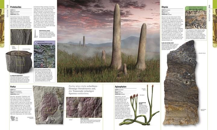 Image du produit Dinosaurier und andere Lebewesen der Urzeit (Allemand, Christopherua, Thomas, Jennifer/Duffin, BarryA/Clack, 2020)