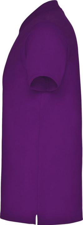 Actual product image Alpinia Mens Star Short-Sleeved Polo Shirt (L)