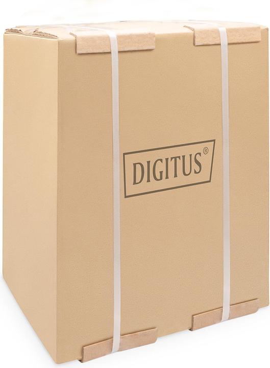 Actual product image Digitus Wall Mounting Cabinet 254 mm (10") - 312x300 mm (WxD) (9 RU, 10 inch rack)