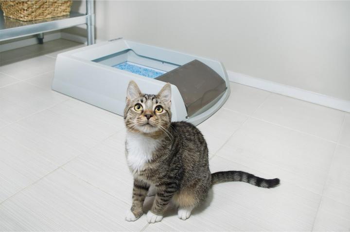 Produktbild Scoop Free Original (Selbstreinigendes Katzenklo)