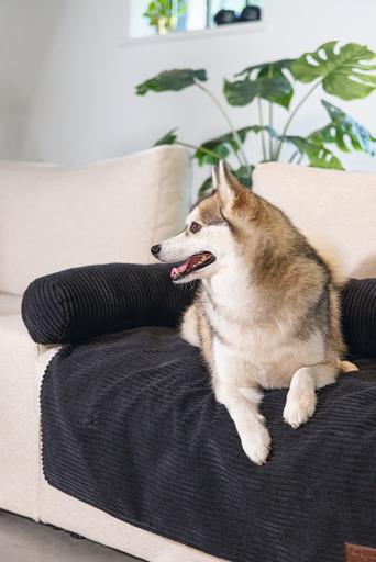 Produktbild Designed by Lotte Couchkissen Ribbed (Hund)