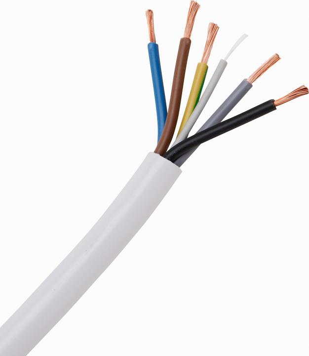 Actual product image Kopp Cooker connection cable