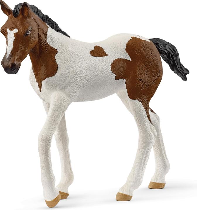 Image du produit Schleich Poulain Paint Horse