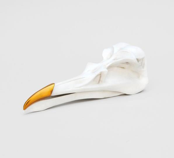 Suck UK Bird Skull Tidy