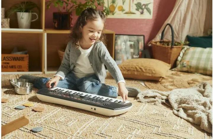 Image du produit Casio SA-81 (44 Boutons)