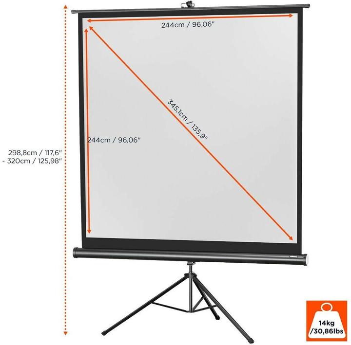 Immagine prodotto Celexon Treppiede Eco, schermo, 1:1 (135.83", 1:1)