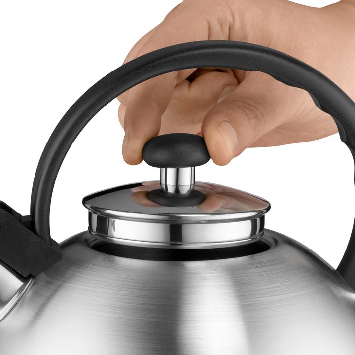 WMF Orbit Bouilloire à eau / Bouilloire à induction / Théière 1,5l, Cromargan Acier inoxydable (1.50 l)