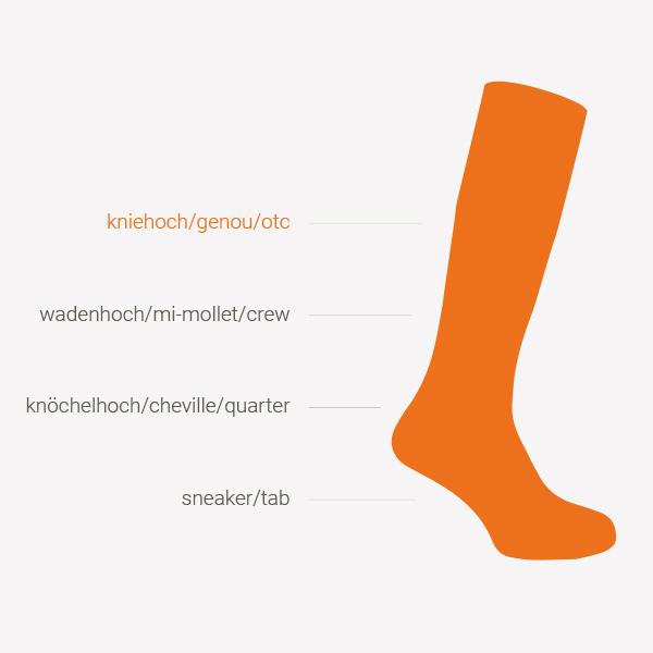 Produktbild Wrightsock merino coolmesh II (34 - 36)