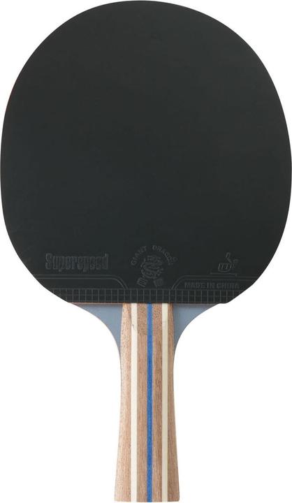 Image du produit Hudora Tournament