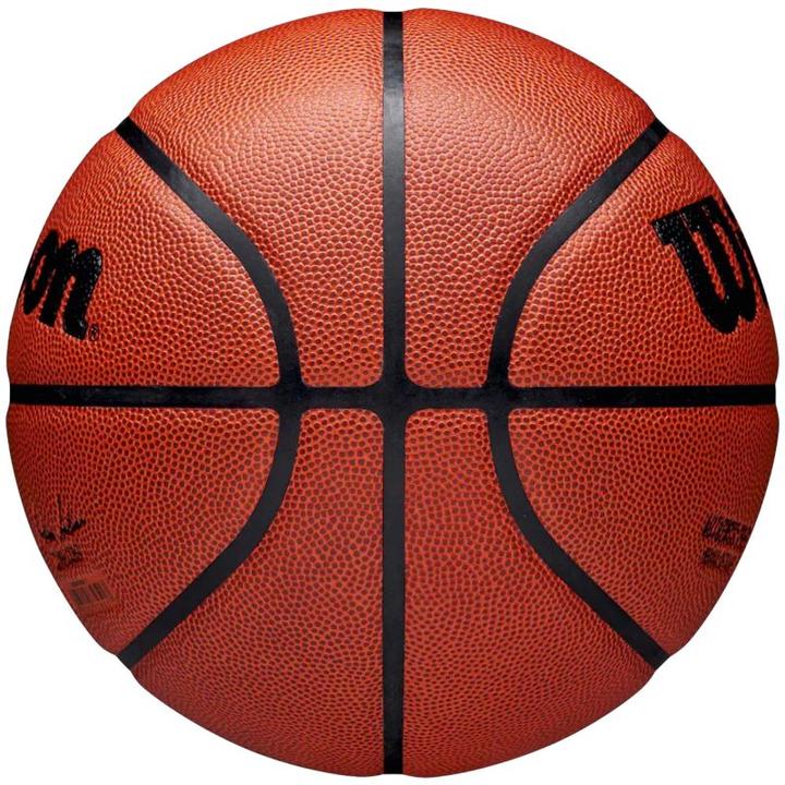 Image du produit Wilson NBA Authentic (7)