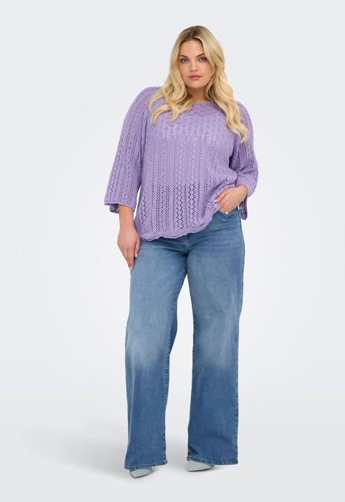 Actual product image Only Regular fit round neck plus pullover knitted jumper (XL)
