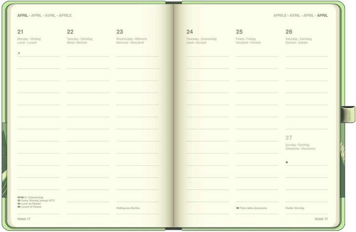 Image du produit Neumann N NEUMANNVERLAGE - Matcha 2025 Cool Diary, 16x22cm, calendrier hebdomadaire avec banderole et ruban (16 x 22 cm, Allemand)