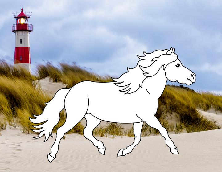 Image du produit Livre de coloriage Chevaux de rêve : Plage & mer