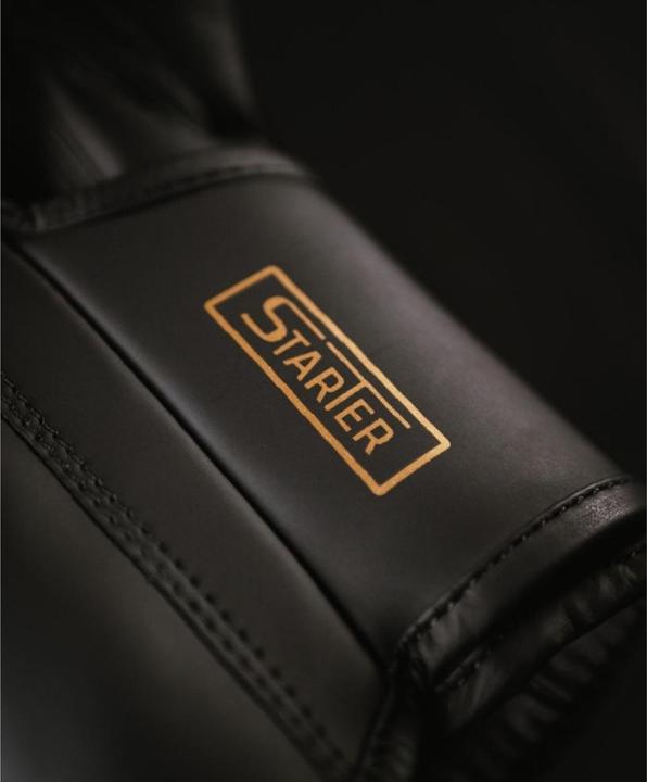 Image du produit MetalBoxe Gants de Boxe Entrainement Starter (6 OZ)