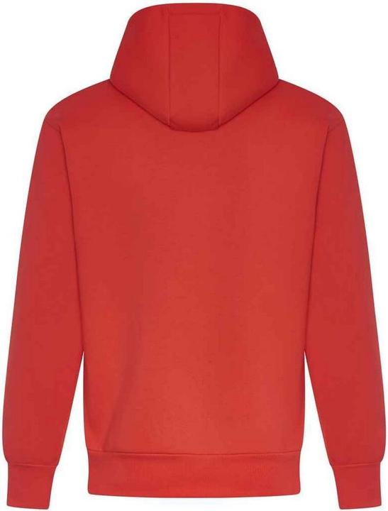 Image du produit Awdis - Sweat à capuche SIGNATURE - Homme (3XL)
