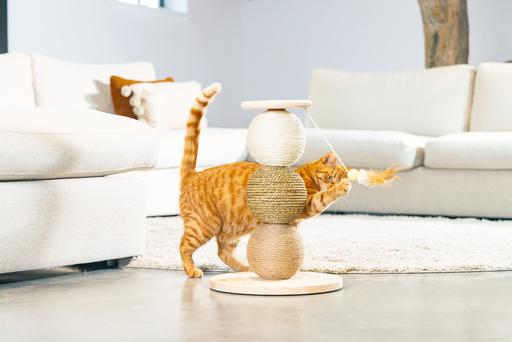 Actual product image Designed by Lotte Elio (47.50 cm, Beige)