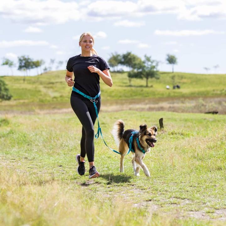 Productafbeelding Trixie Buikriem met riem (S, M, Hond, Joggen)