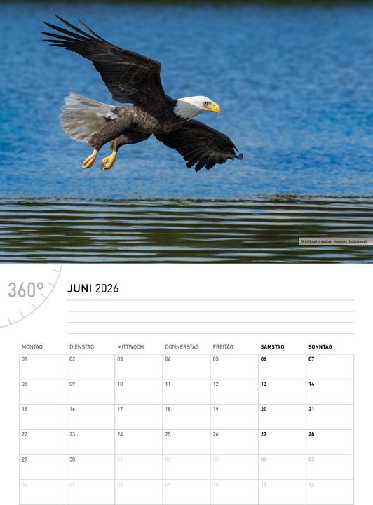 Produktbild USABroschürenkalender2026 (A4, Deutsch)