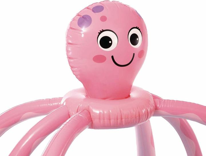 Actual product image Intex Play Center Octopus