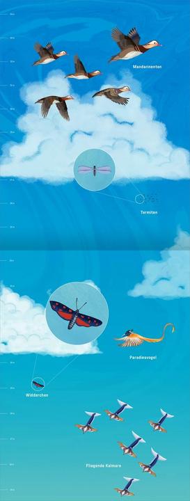Actual product image Hinauf ins Himmelblau (German, Giulia Zaffaroni, Andreas hunter, Gianumberto Accinelli, 2024)